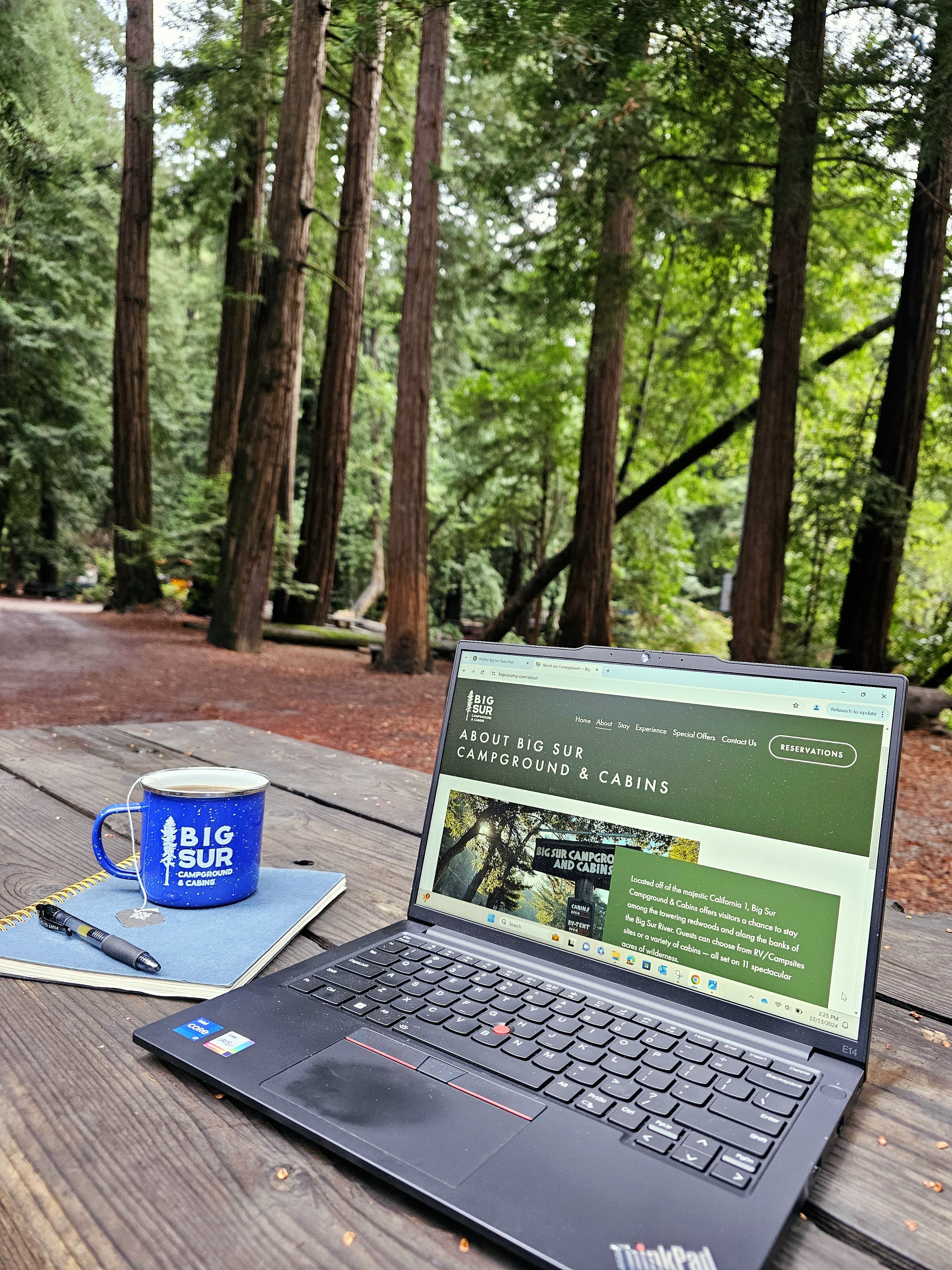 Laptop connecting to the internet