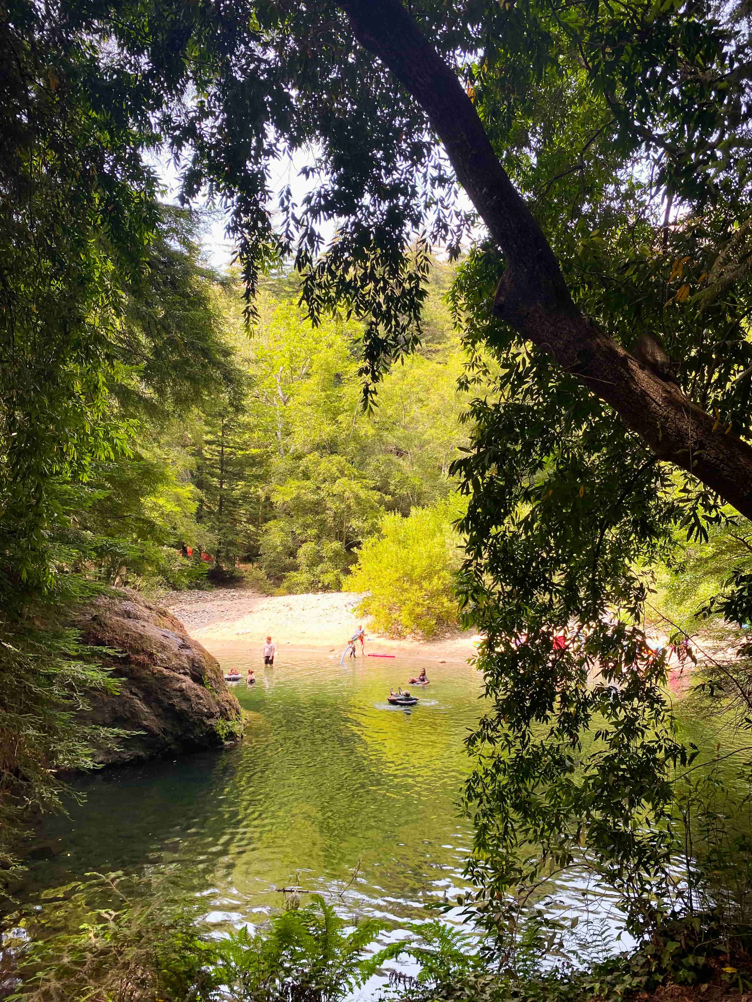 Swimming Hole
